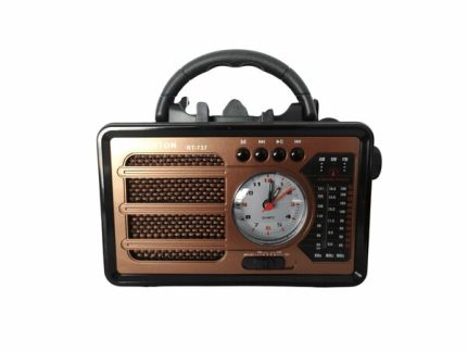 Everton RT-737 Panelli Saatli Radyo