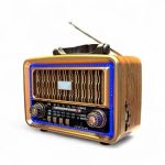 Everton RT-683 Panelli Radyo